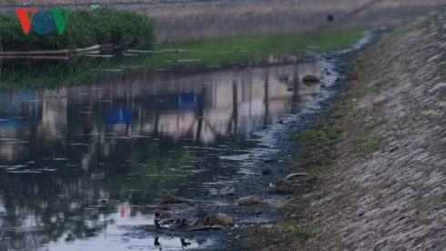 nang nong, nguoi dan thu do ngat tho voi mui hoi thoi o song to lich hinh 13