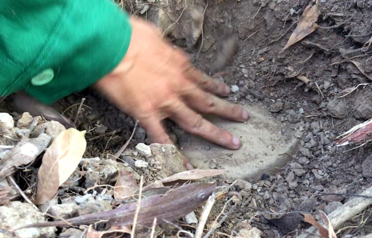 Một vị trí chôn cất xác thai nh itại nhà máy. Ảnh:Hoàng Hạnh. Một vị trí chôn cất xác thai nhitại nhà máy. Ảnh:Hoàng Hạnh.