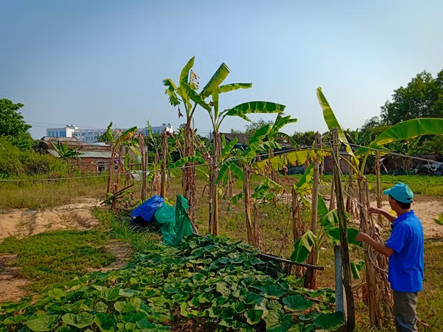 Dự án Làng ĐH Đà Nẵng treo hơn 20 năm khiến cho cuộc sống của người dân trong vùng dự án rất vất vả