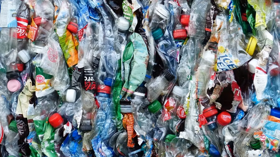 Cuộc sống muôn màu