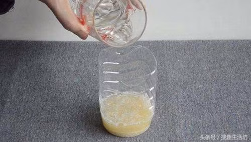 Diệt sạch muỗi trong nhà bằng chút bia uống dở, cho tiền muỗi cũng tránh xa-1