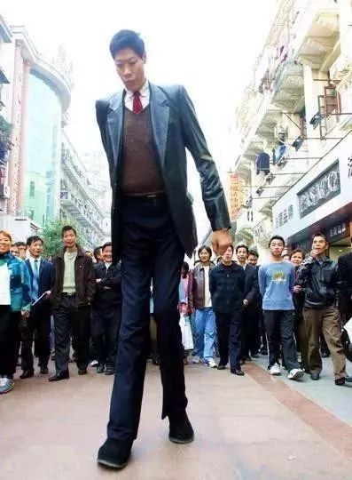 Chiều cao vượt trội khiến anh Zhang Juncai luôn là trung tâm chú ý khi đến bất cứ đâu. Chiều cao vượt trội khiến anh Zhang Juncai luôn là trung tâm chú ý khi đến bất cứ đâu. Ảnh: Sina.
