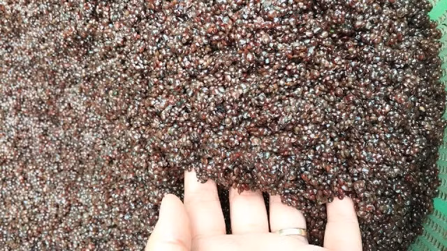 Mẳm hén – thức chấm đặc biệt của người Thái ở Sơn La