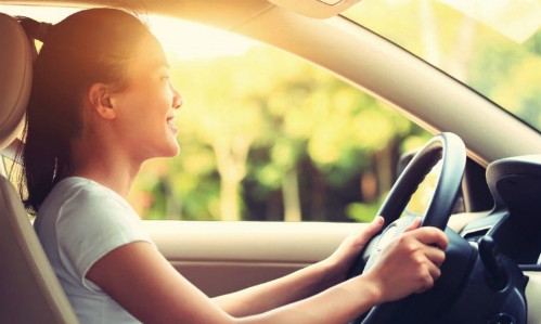 Ảnh: Activity Avenues.