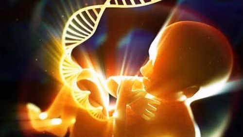 Trong tương lai, con người có thể đạt tuổi thọ bình quân 100 tuổi