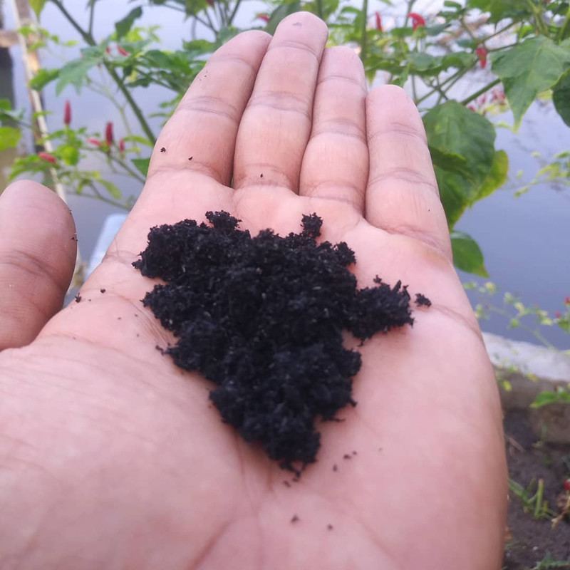 7 công dụng kỳ diệu của than hoạt tính hình 4 7 cong dung ky dieu cua than hoat tinh hinh 4