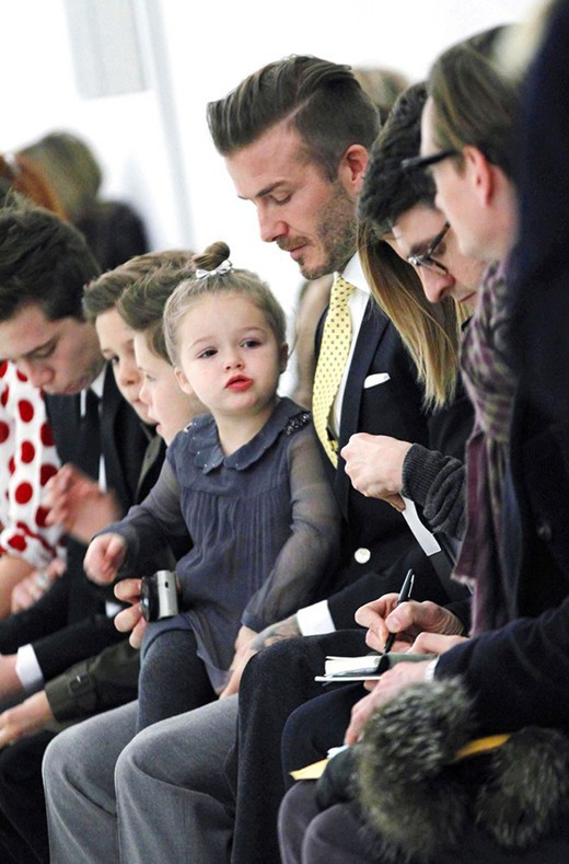 - Ảnh 4.  - Ảnh 4.