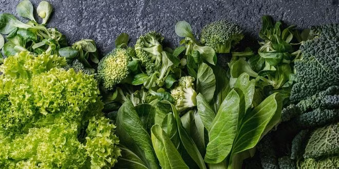 top thuc pham tu nhien chua nhieu collagen nhat