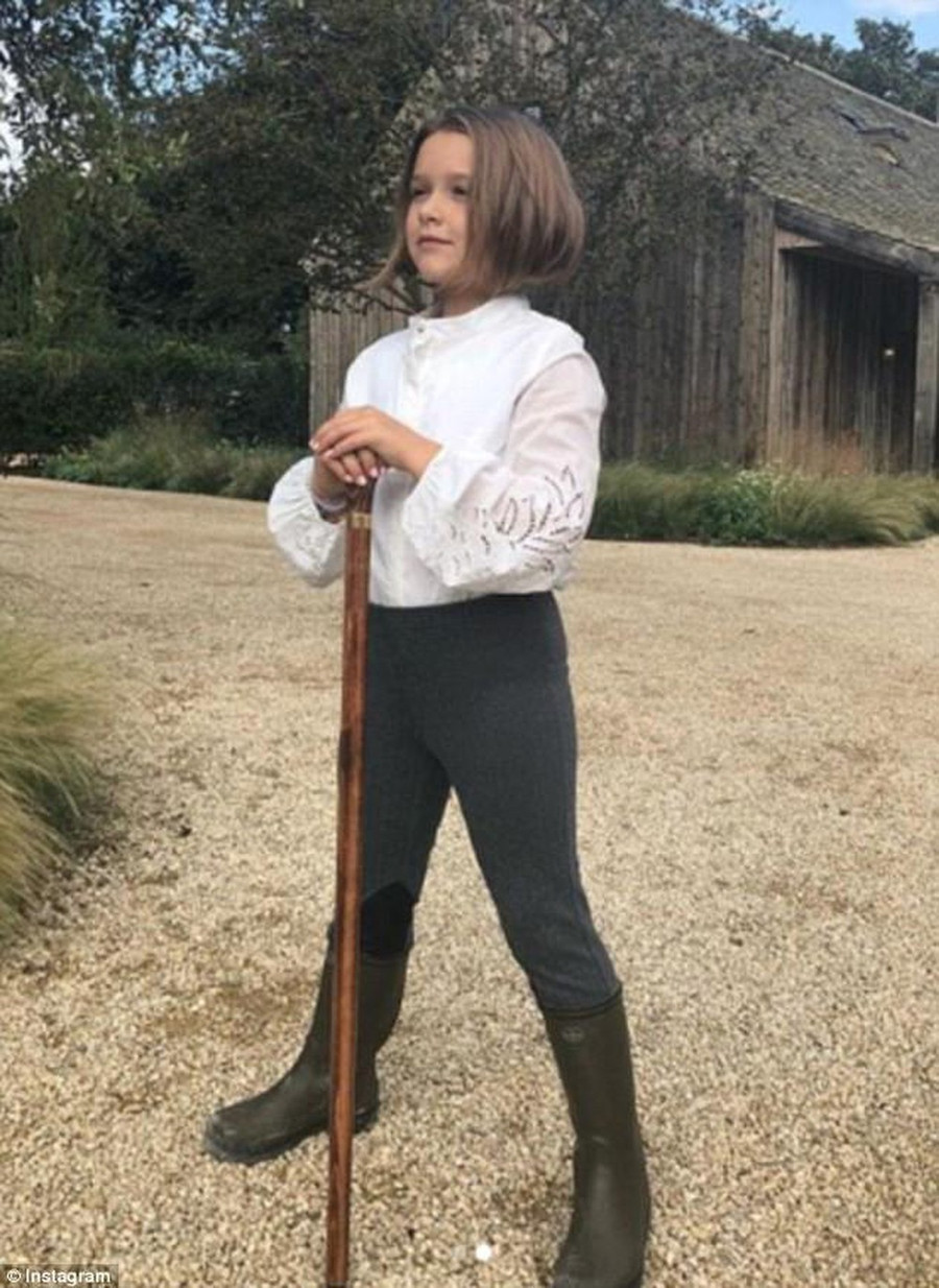 - Ảnh 12.  - Ảnh 12.