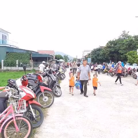 Văn hóa đậu xe tại các trường học sẽ được nhân rộng.