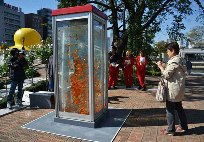 nhung sang tao thien tai chi co the la o nhat ban hinh anh 9