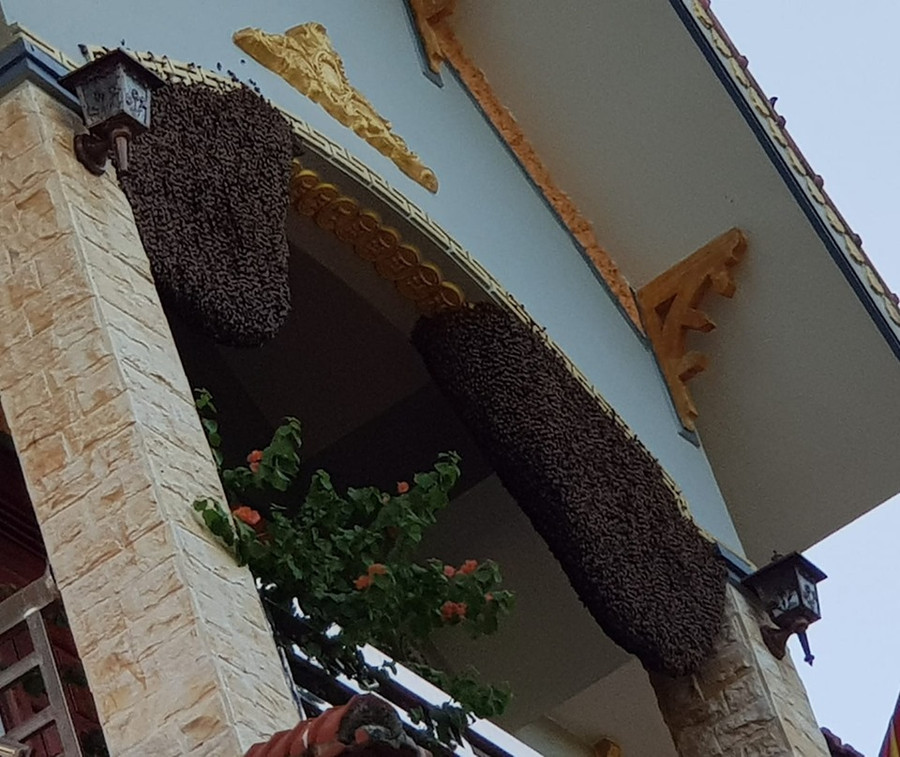 kho tin dien bien: ngoi nha 8 nam lien ong mat lu luot keo ve lam to hinh anh 3