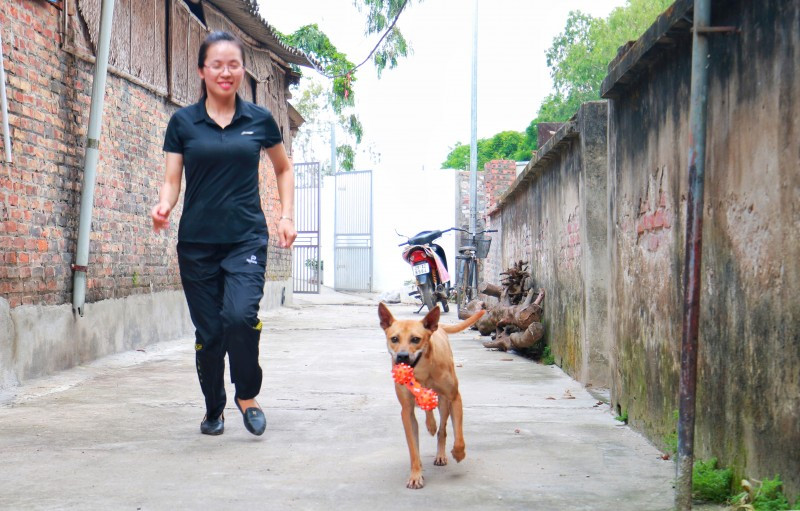 Cận cảnh trang trại chó Phú Quốc tiền tỷ của cô gái 8X ca n ca nh trang tra i cho phu quo c tie n ty cu a co ga i 8x