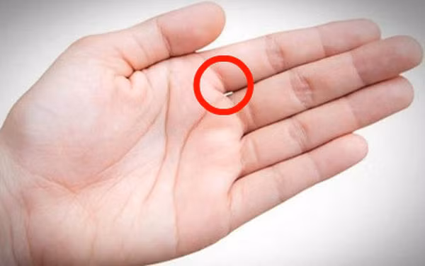 Chỉ 1 giây nhìn kẽ hở bàn tay, biết ngay tương lai nghèo khó hay giàu sang