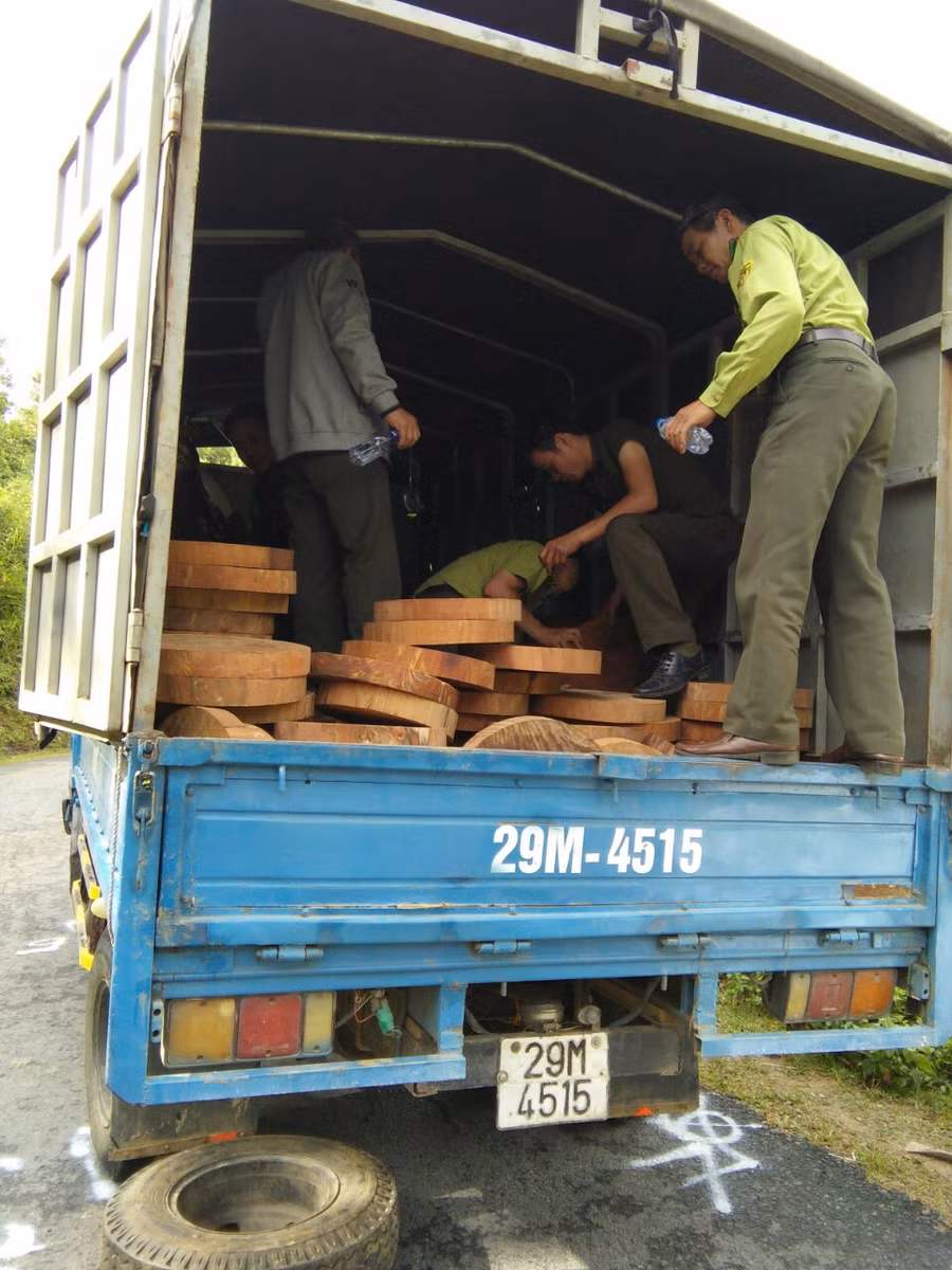 Tổ công tác phát hiện thùng xe có hơn 460 lóng gỗ nghiến dạng thớt, khối lượng khoảng 3m3 Tổ công tác phát hiện thùng xe có hơn 460 lóng gỗ nghiến dạng thớt, khối lượng khoảng 3m3