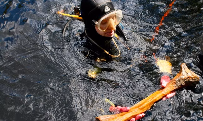 Cuối cùng cũng có lời giải mã cho những bí ẩn lịch sử từng khiến các nhà khoa học đau đầu - Ảnh 5.