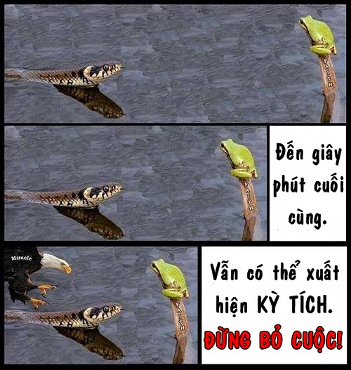 Đừng bao giờ bỏ cuộc. Đừng bao giờ bỏ cuộc.