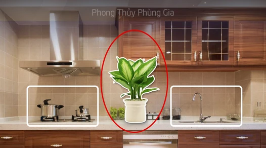 Những vị trí nên đặt cây xanh để hóa giải thế xấu phòng bếp