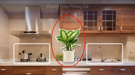 Những vị trí nên đặt cây xanh để hóa giải thế xấu phòng bếp