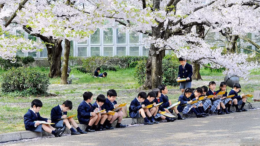 Nhật Bản: Tệ bắt nạt trong trường học gây hậu quả nghiêm trọng