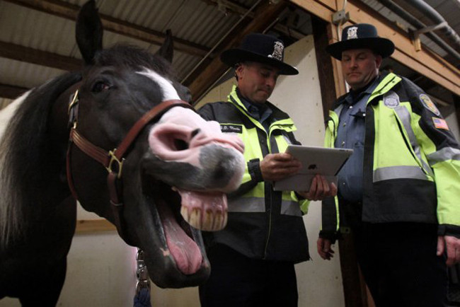 la nhi, xem anh hai ma ai cung phai... bat cuoi hinh anh 7