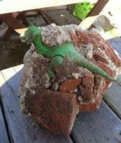 Người yêu không có nhưng lợn phải có một con ảnh 4 Hóa thạch khủng long.