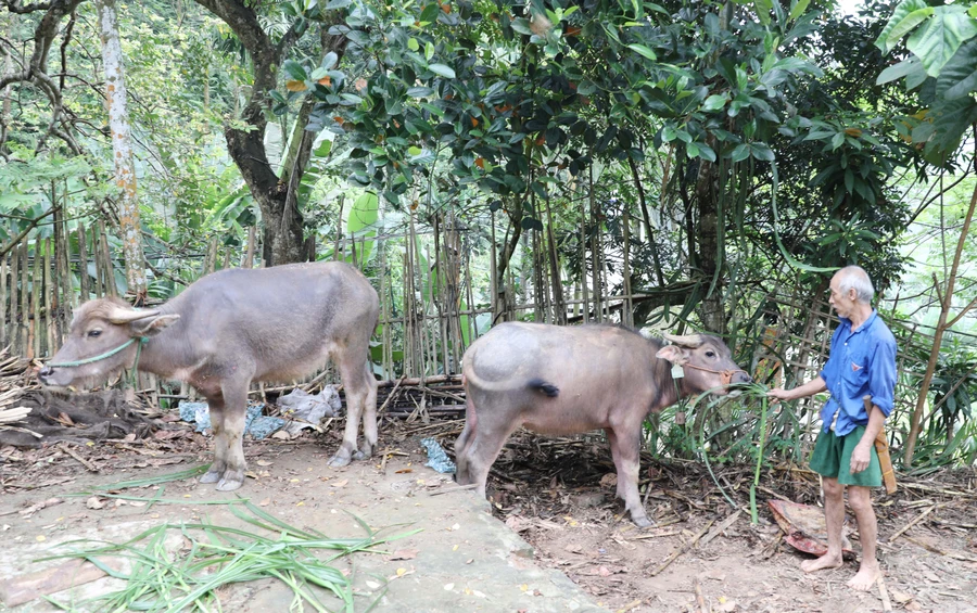 Nỗ lực giảm tỉ lệ hộ nghèo nhờ đa dạng hóa sinh kế.