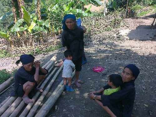 Noi dan ong sung suong va chet som nhat Viet Nam