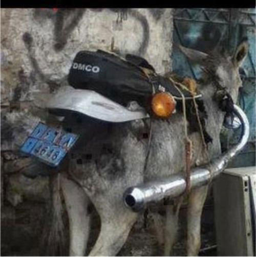Yên êm, biển số