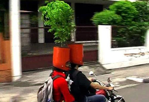 Mũ bảo hiểm vì môi trường.