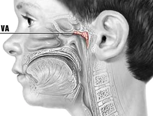 Con gái 4 tuổi càng lớn càng không giống bố mẹ, đưa đến bệnh viện kiểm tra phát hiện sự thật bất ngờ