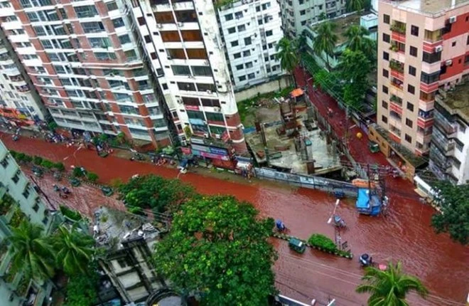 Tế động vật gây dòng sông máu ở thủ đô Bangladesh