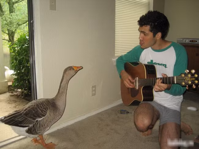 cuoi "tac tho" voi nhung hinh anh kho do tren doi hinh anh 4