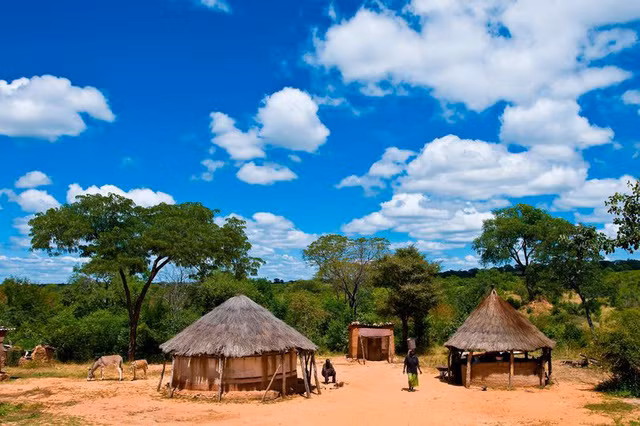 Bắt giữ hai phụ nữ ăn thịt người ở Zimbabwe