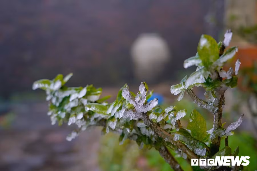 Anh: Dinh Mau Son lung linh, ky ao trong lop bang tuyet trang muot hinh anh 2