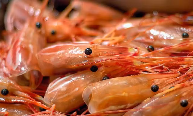 mat-tom-1436783488305