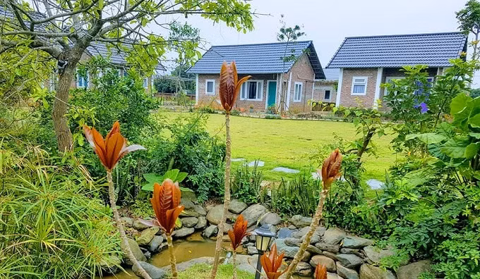 Phụ nữ, đừng cố lấy kẻ không yêu mình