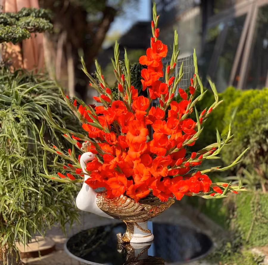 Dơn nở có thể hạ độ cao cắm chim công. Cắm hoa tạo hình chim công thì trên xốp đựng trên đĩa hoa quả.