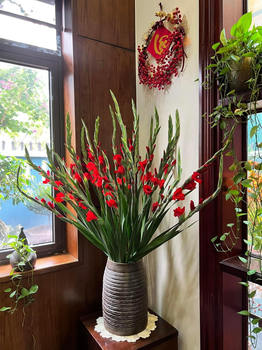 Một bình dơn đỏ không thể thiếu trong ngày Tết truyền thống. Một bình dơn đỏ không thể thiếu trong ngày Tết truyền thống.