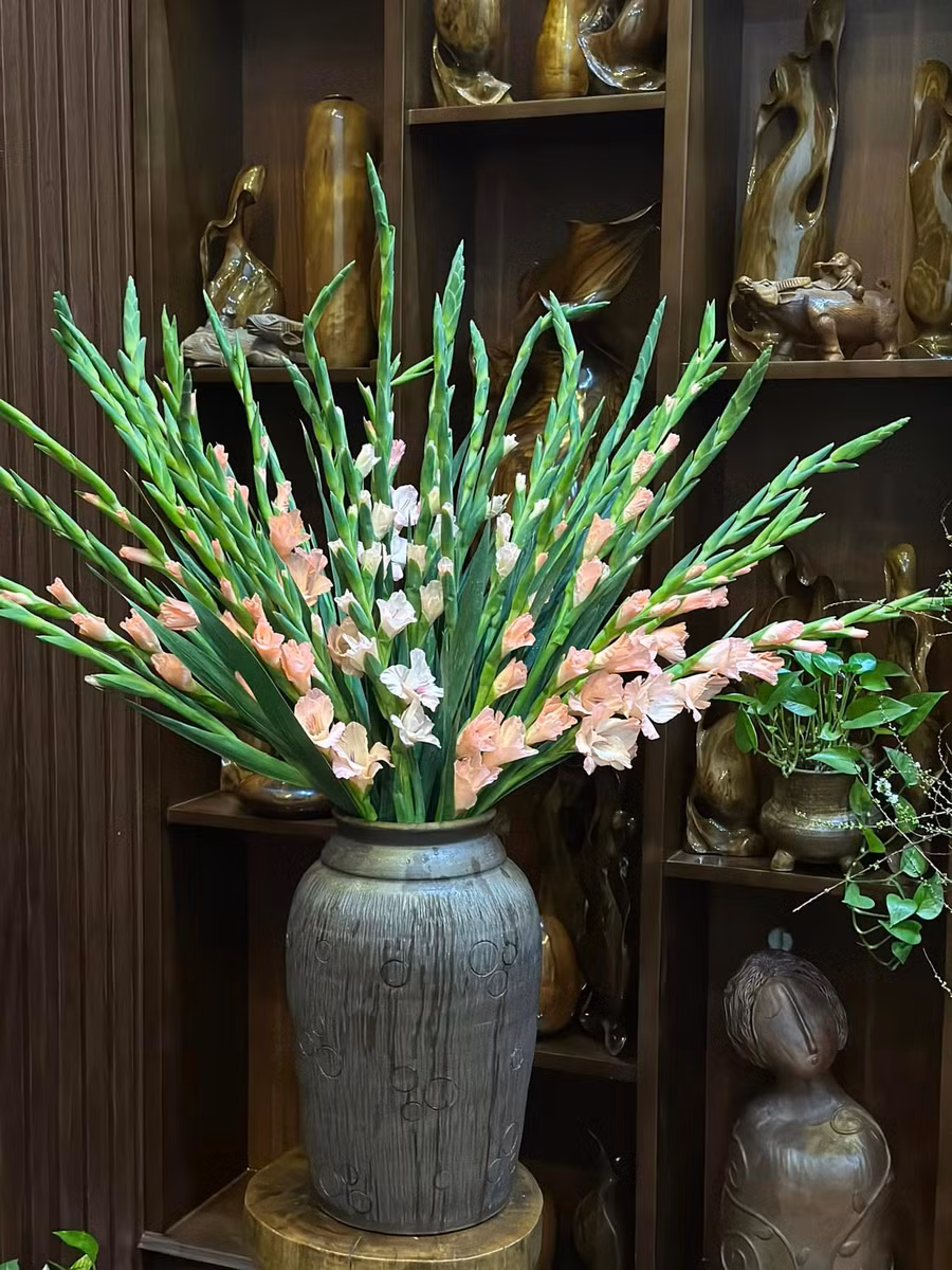 Một bình dơn hồng khi chưa nở căng cũng tràn đầy sức sống.