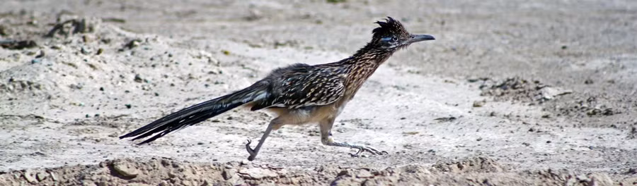 nhung dieu thu vi co the ban van chua biet ve thung lung chet