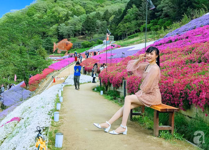 61067332_387006551894843_5799822681448644608_n