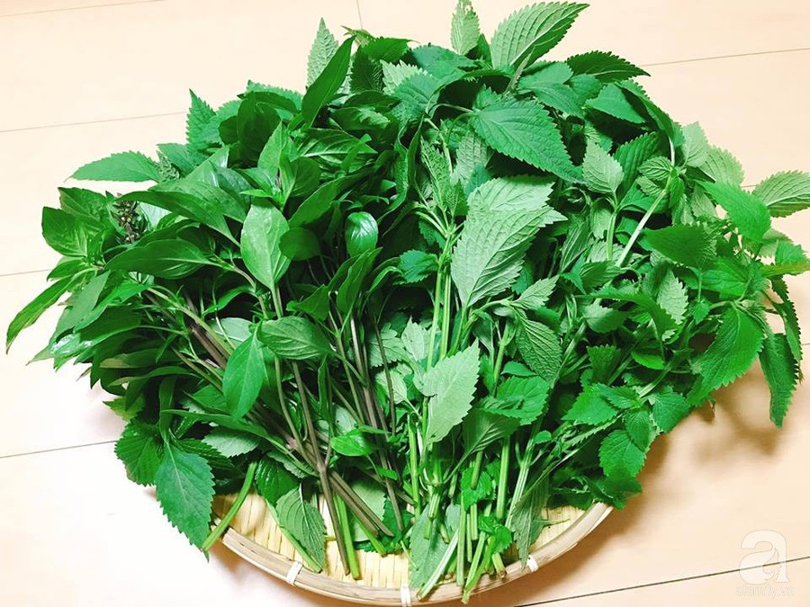 Mướt mắt khu vườn nhỏ phủ kín rau quả sạch của nàng dâu Việt ở Nhật Bản ảnh 28 Mướt mắt khu vườn nhỏ phủ kín rau quả sạch của nàng dâu Việt ở Nhật Bản ảnh 28