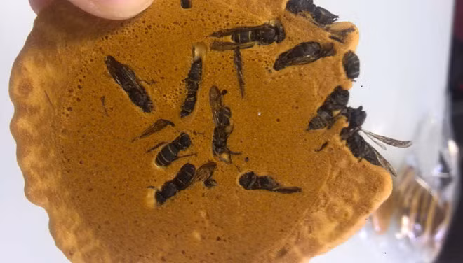 8 món ăn khiến thực khách sởn gai ốc ở Nhật Bản