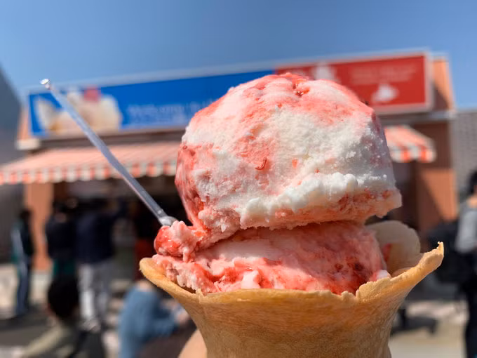 8 món ăn khiến thực khách sởn gai ốc ở Nhật Bản