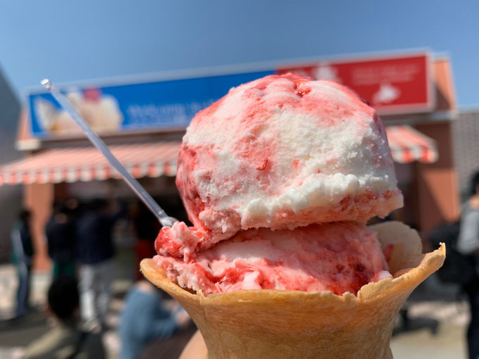 8 món ăn khiến thực khách sởn gai ốc ở Nhật Bản ảnh 6 8 món ăn khiến thực khách sởn gai ốc ở Nhật Bản