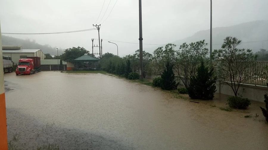 Thái Bình: 30.000 ha lúa mùa bị tàn phá do mưa lũ