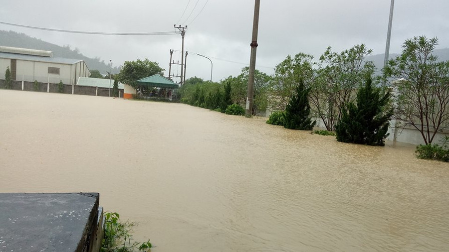 Thái Bình: 30.000 ha lúa mùa bị tàn phá do mưa lũ ảnh 1 Thái Bình: 30.000 ha lúa mùa bị tàn phá do mưa lũ ảnh 1