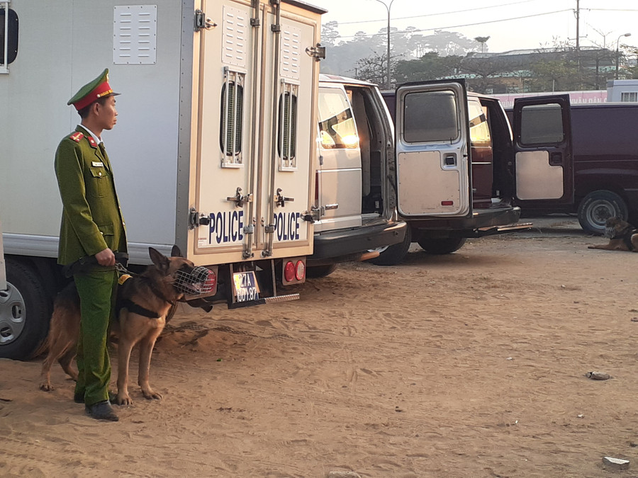 Chó nghiệp vụ được huy động Chó nghiệp vụ được huy động