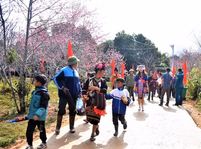 Du khách đổ về Đảo hoa để tham dự Lễ hội Hoa anh đào.